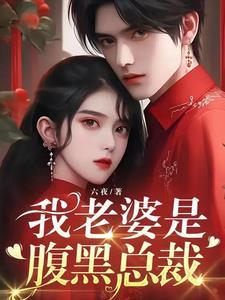 我老婆是腹黑总裁 我老婆是腹黑总裁